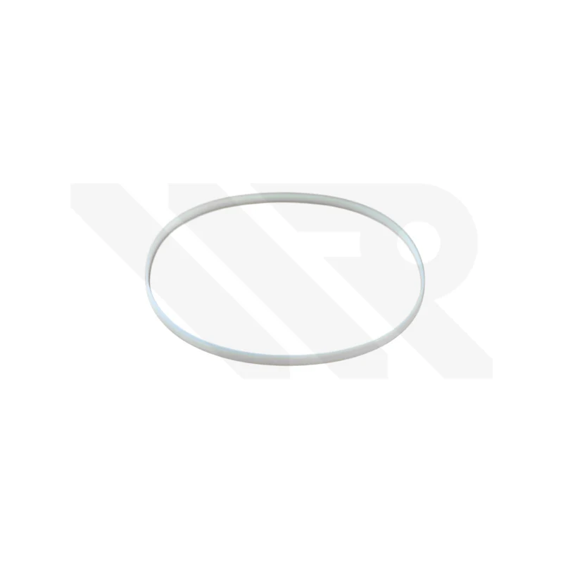 Replacement Bezel Gasket Compatible with Cartier Calibre De Cartier Diver